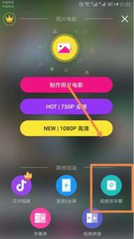 国产中文字幕手机视频
